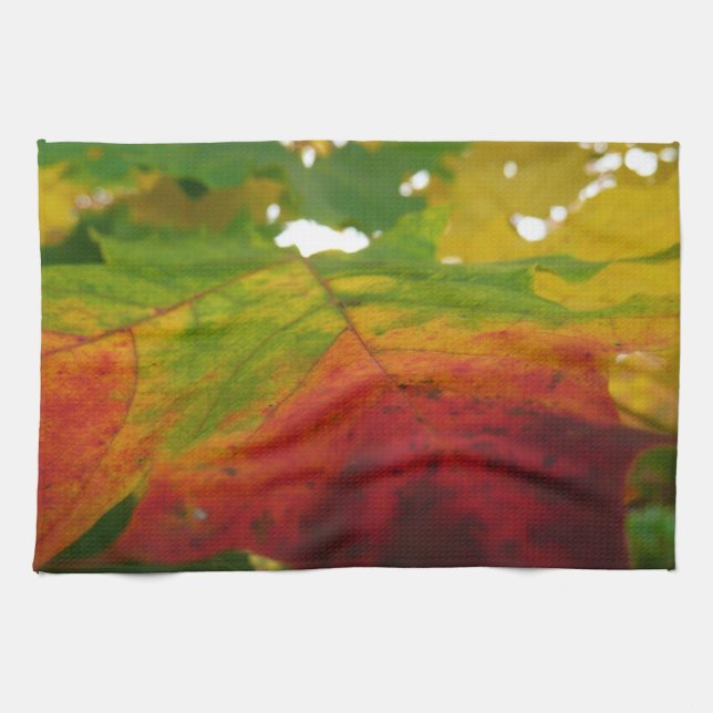 Colours of the Maple Leaf Autumn Nature Photograph Kitchen Towel (Horizontal)