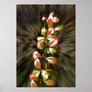 Colours on twig poster