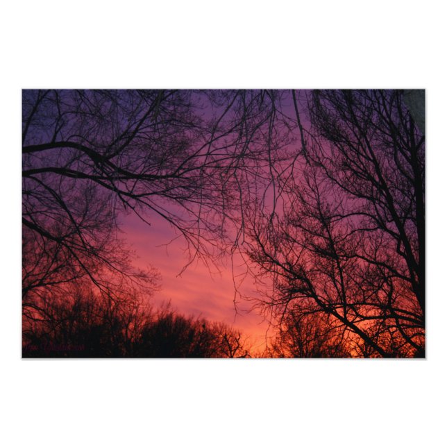 "Colours" Photo Print (Front)