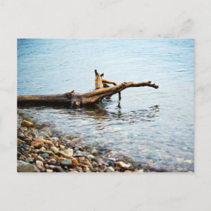 Colours Postcard