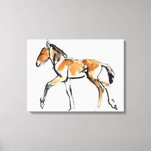 Colt Canvas Print