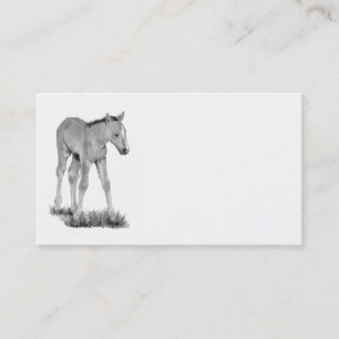 Colt, cheval : Art de crayon de carte de visite :