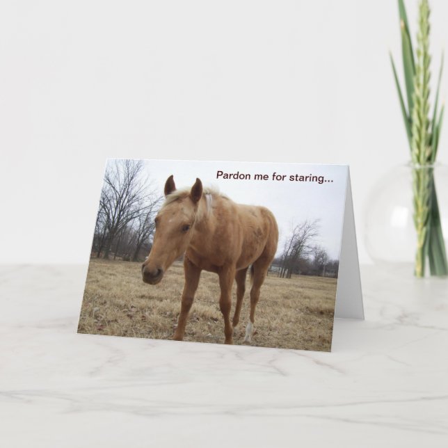 Colt curieux - Carte Anniversaire (Devant)