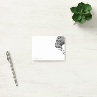 Colt en double rênes - Post-it Notes 3" x 4"