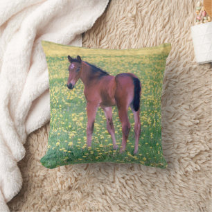 Colt in Dandelion Field Throw Pillow