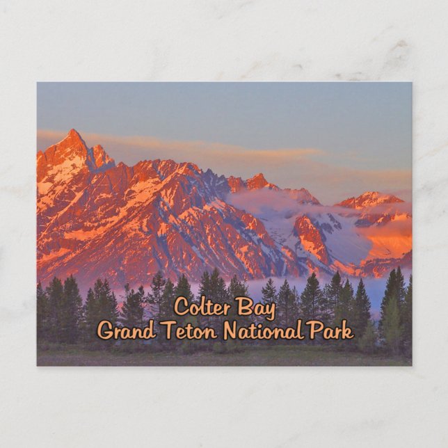 Colter Bay Grand Teton National Park Postcard (Front)