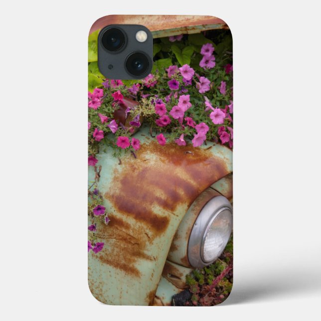 Columbia Falls Case-Mate iPhone Case (Back)