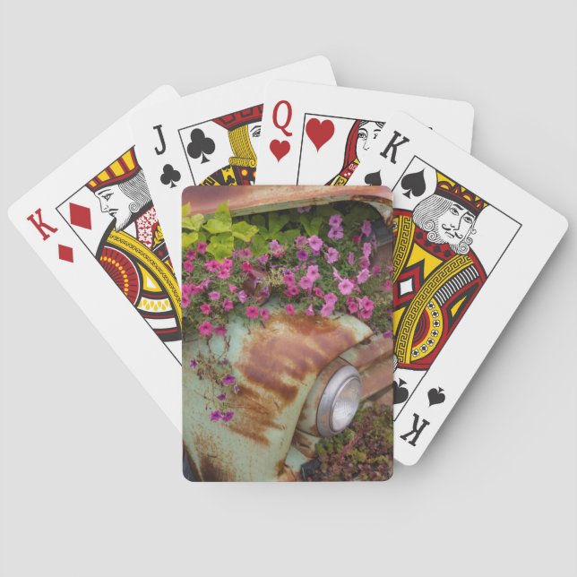 Columbia Falls Playing Cards (Back)