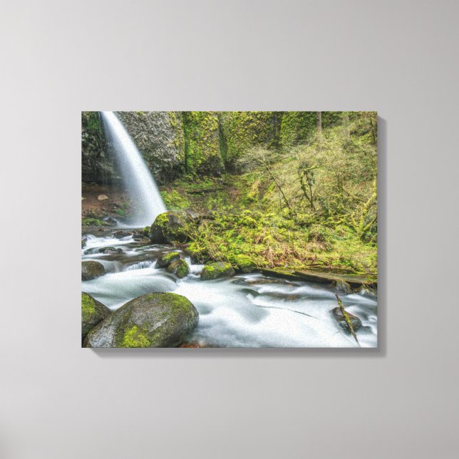 Columbia River Gorge, Ponytail Falls Canvas Print (Front)