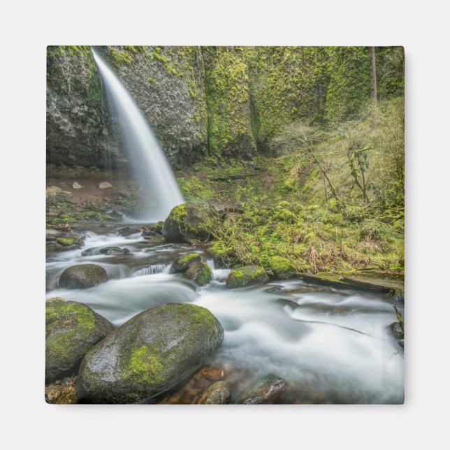 Columbia River Gorge, Ponytail Falls Magnet (Front)