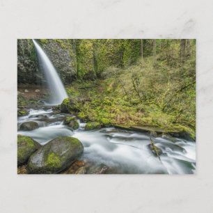 Columbia River Gorge, Ponytail Falls Postcard