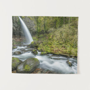 Columbia River Gorge, Ponytail Falls Tapestry