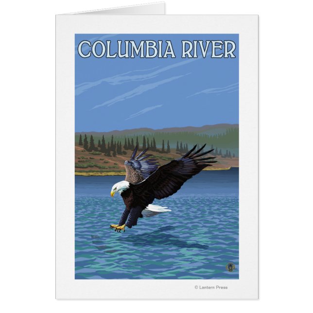Columbia River, WashingtonEagle Diving (Front)