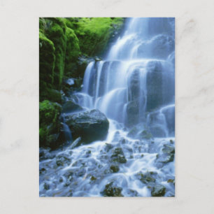 Columbia River Waterfall Fine Photo Postcard