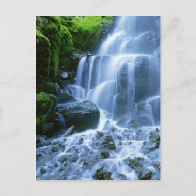 Columbia River Waterfall Fine Photo Postcard (Front)