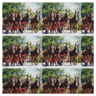 Columbia Tenn Mule Days Fabric