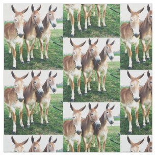 Columbia, TN Mule Days Fabric