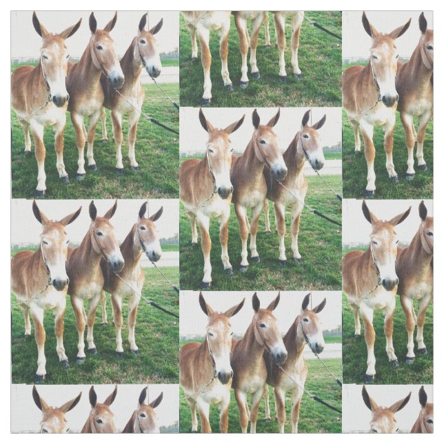 Columbia, TN Mule Days Fabric (Swatch)