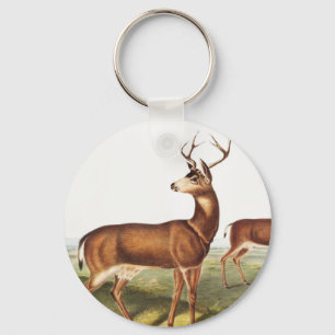 Columbian Black-tailed Deer (Cervus Richardsonii) Keychain