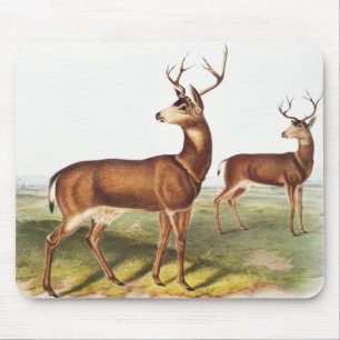 Columbian Black-tailed Deer (Cervus Richardsonii) Mouse Pad