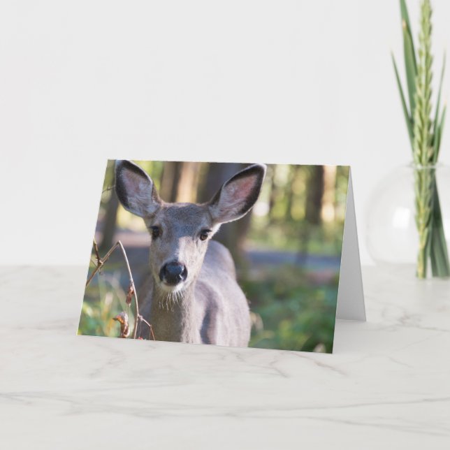 Columbian Black-tailed Doe | Washington State Card (Front)