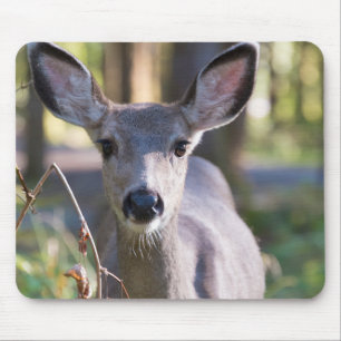 Columbian Black-tailed Doe Washington State Mouse Pad