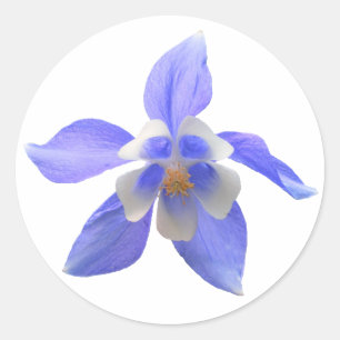 Columbine 158 ~ sticker