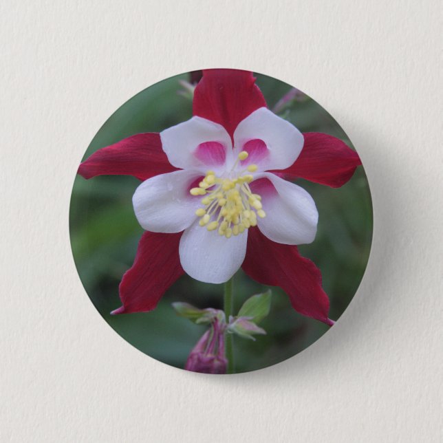 Columbine 2 Inch Round Button (Front)