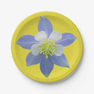Columbine 2 paper plate