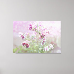 Columbine Beauty Canvas Print