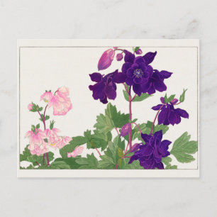 Columbine by Tanigami Konan Postcard
