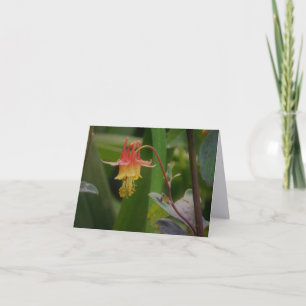Columbine Fine Art Photograpy Folded Note Card