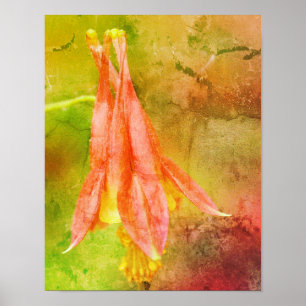 Columbine Flower Abstract Poster