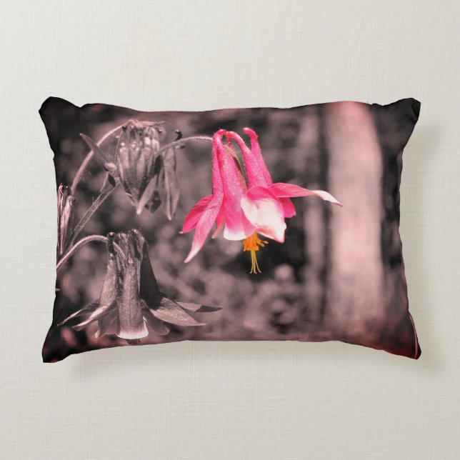 Columbine Flower Black And White Partial Colour   Accent Pillow (Front)