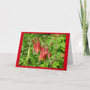 Columbine Flower Blank Note Card