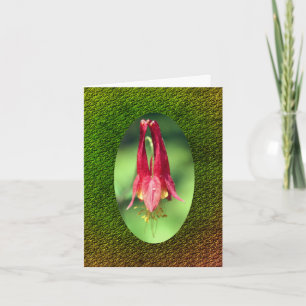 Columbine Flower Customizable Note Card