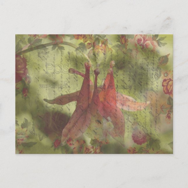 Columbine Flower Digital Art Postcard (Front)