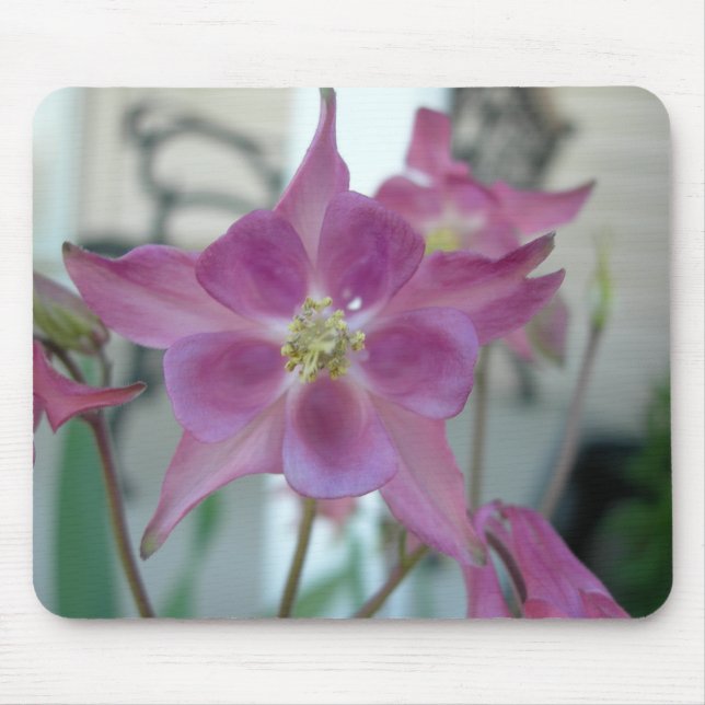 Columbine Flower mousepad (Front)