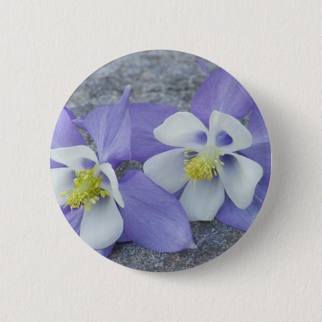 Columbine Flowers 2 Inch Round Button (Front)