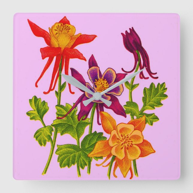 columbine flowers square wall clock (Front)