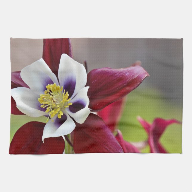 Columbine.JPG Kitchen Towel (Horizontal)