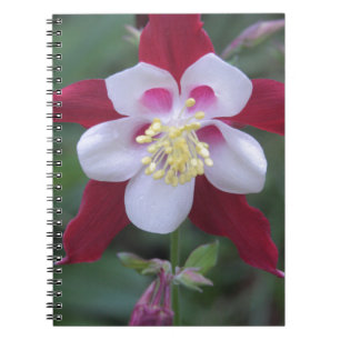 Columbine Notebook
