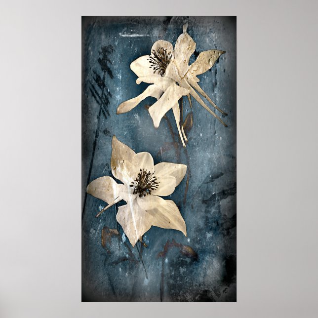 Columbine Poster (Front)