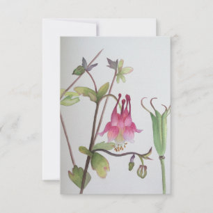 Columbine Response Card Botanical Watercolors