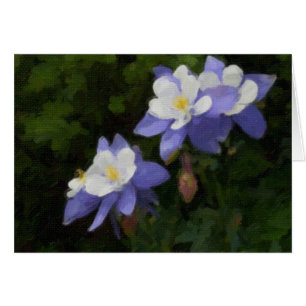 Columbines