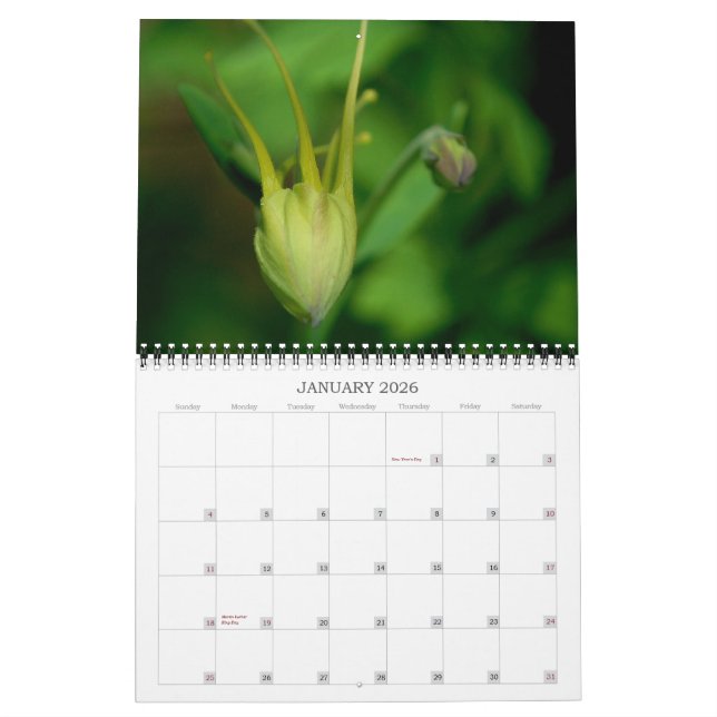 Columbines Calendar (Jan 2026)