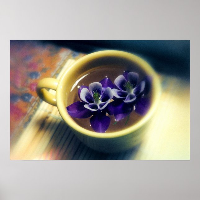 Columbines Poster (Front)