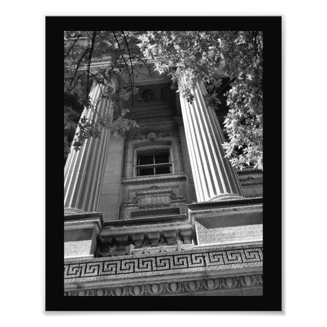 Column View Photo Print (Front)
