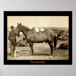 Comanche Poster