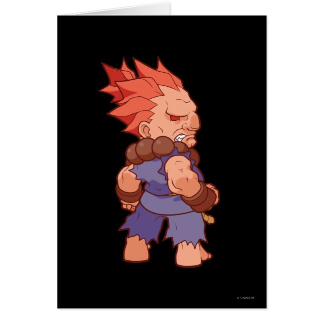 Combattant Akuma 2 de poche (Devant)